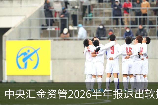 中央汇金资管2026半年报退出软控股份前十大股东名单