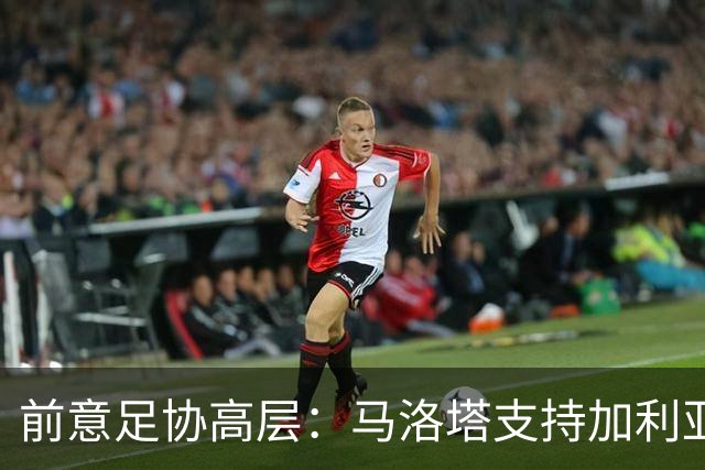 前意足协高层：马洛塔支持加利亚尼竞选足协主席，意甲已分裂