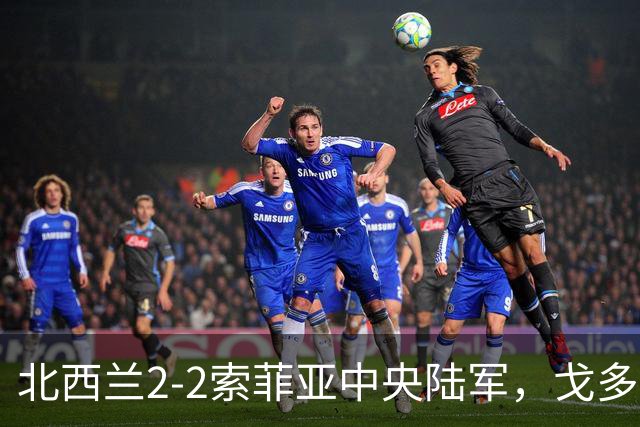 北西兰2-2索菲亚中央陆军，戈多伊先拔头筹，戈多伊救主