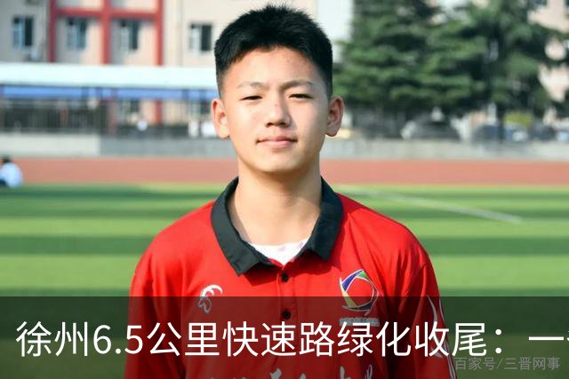 徐州6.5公里快速路绿化收尾：一条高架的价值，一半在桥面上，一半在桥下