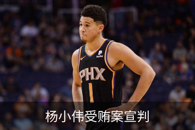 杨小伟受贿案宣判