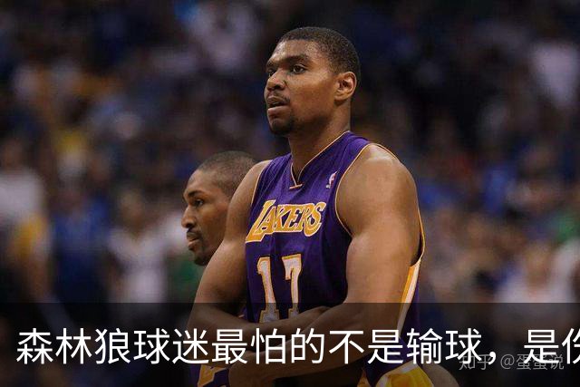 森林狼球迷最怕的不是输球，是伤病：一次投票投出了真心话