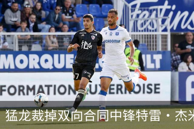猛龙裁掉双向合同中锋特雷·杰米森三世