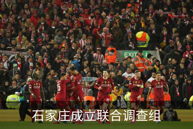 石家庄成立联合调查组