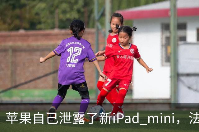 苹果自己泄露了新iPad mini，法国官网先露了馅