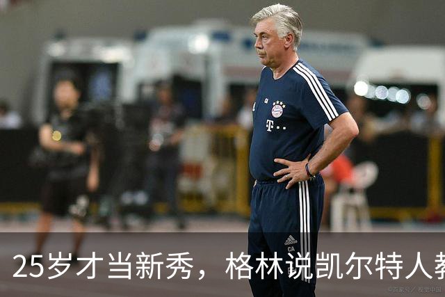25岁才当新秀，格林说凯尔特人教会他适应联盟